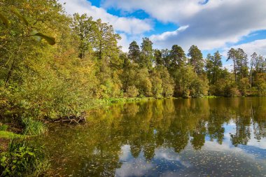 Çam ve yaprak döken ağaçlardan oluşan karışık ormanı yansıtan sakin sularla dolu sakin bir orman göleti. Yapraklar, bulutlu mavi gökyüzünün altında sonbahar renginin ilk işaretlerini gösteriyor..