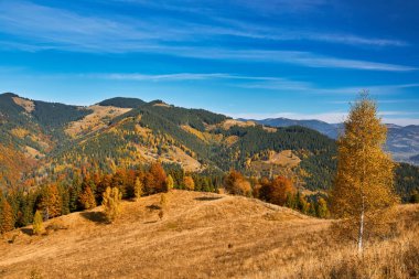Dağların sonbahar manzarası renkli ormanlarla dolu.