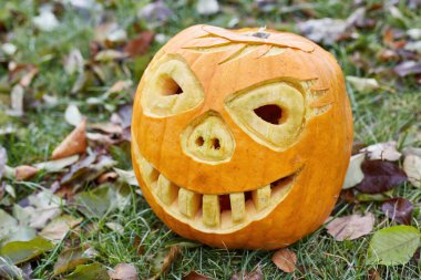 Klasik oyulmuş Cadılar Bayramı balkabağı, ürkütücü, gülen yüzlü bir balkabağı, renkli sonbahar yapraklarıyla dolu yeşil bir çimenlikte oturuyor. Geleneksel tatil dekorasyonu.