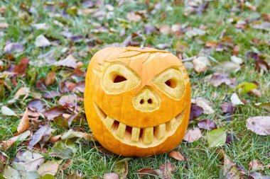 Klasik oyulmuş Cadılar Bayramı balkabağı, ürkütücü, gülen yüzlü bir balkabağı, renkli sonbahar yapraklarıyla dolu yeşil bir çimenlikte oturuyor. Geleneksel tatil dekorasyonu.