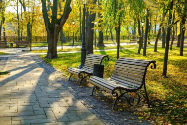 Sonbaharda bir şehir parkında bir sıra boş süs tezgahı asfaltlı bir ara sokağa dizilir. Alçak güneş uzun gölgeler bırakır ve sahneyi sıcak, altın ışıkla kaplar..
