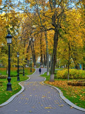 A lone figure walks down a winding paved path lined with vintage lampposts in a city park. The trees are full of golden-yellow autumn foliage, and fallen leaves cover the ground.