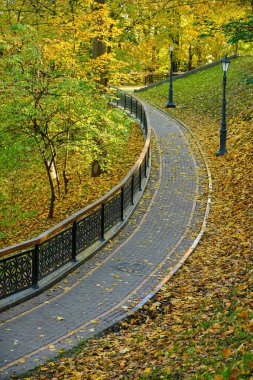 Ukrayna 'nın başkenti Kyiv' deki Mariinskyi Sarayı 'nın süslü Barok cephesinin yakın çekimi. Görüntü, sarı dış duvardaki karmaşık beyaz pervazları ve heykelleri ayrıntılarıyla anlatıyor..