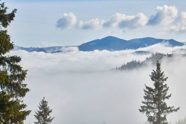 Karpat dağlarında renkli bir sonbahar sabahı. Ukrayna, Avrupa.