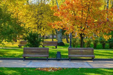 Sonbaharda bir şehir parkında bir sıra boş süs tezgahı asfaltlı bir ara sokağa dizilir. Alçak güneş uzun gölgeler bırakır ve sahneyi sıcak, altın ışıkla kaplar..