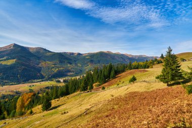 Dağların sonbahar manzarası renkli ormanlarla dolu.