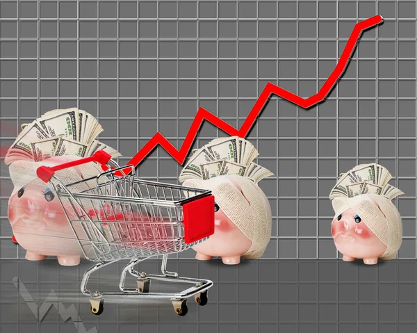 Shopping Con Costi Elevati Inflazione Costi Elevati Qualsiasi Momento — Foto Stock