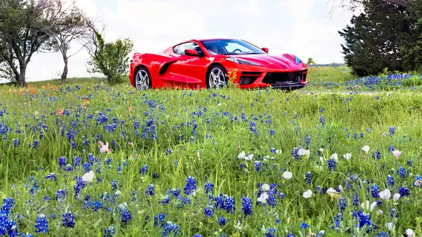 2015 Ennis Texas April 2023 Texas Bluebonnet Trail Ennis Texas — 스톡 사진