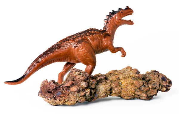 Echter Dinosauriermist Namens Coprolit Der 200 Millionen Jahre Alt Ist — Stockfoto