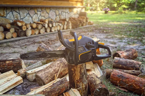 Chainsaw Tree Stumps Garden - Stok İmaj