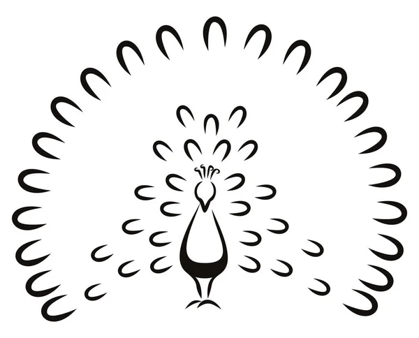 Jednoduchá Ilustrace Páva Krásným Ocasem — Stockový vektor