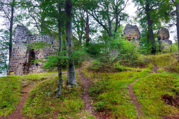 Restos Ruinas Del Castillo Devin Hamr Jizere República Checa — Foto de Stock