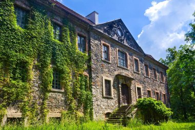 The facade of the castle Tauchritz covered with ivy near Goerlitz in Germany clipart