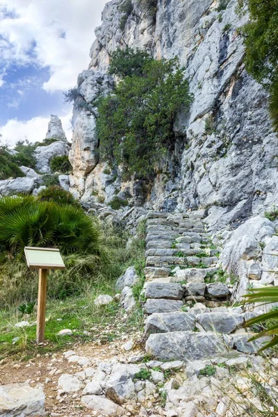 Πέτρινες Σκάλες Βουνά Που Ονομάζονται Escalera Arabe Στο Chorro Ισπανία — Φωτογραφία Αρχείου
