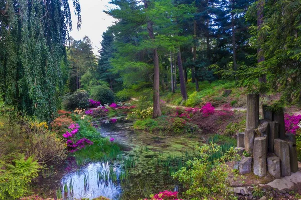 Παραμυθένιος Κήπος Στην Azalea Και Rhododendron Park Στο Kromlau Sachsen — Φωτογραφία Αρχείου