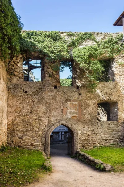 Zeď Zarostlá Rostlinami Středověkém Hradě Chojnik Polsku — Stock fotografie