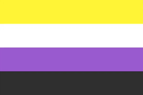 Bandera Identidad Orgullo Amor Binario — Vector de stock