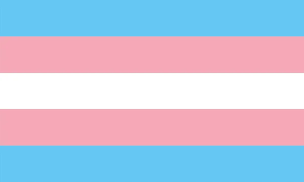 Transgender Love Pride Identity Flag — Stock Vector