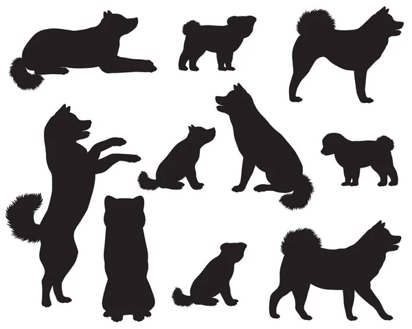 Sammlung Von Silhouetten Der Japanischen Hunderasse Akita Oder Akita Inu — Stockvektor