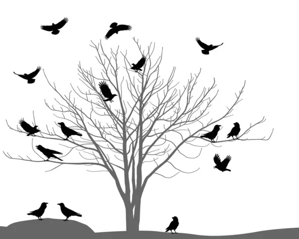 树上乌鸦和乌鸦的轮廓图 — 图库矢量图片