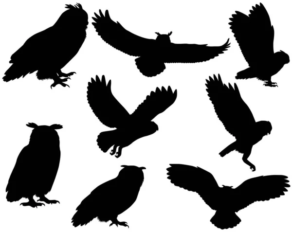 Sbírka Siluet Sovy Orlí Sovy Ptáků — Stockový vektor