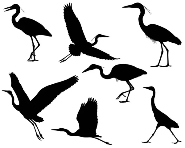 Insamling Silhuetter Heron Eller Äggfåglar — Stock vektor