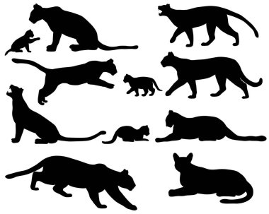 Puma ya da dağ aslanlarının ve yavrularının da isimlendirdiği puma siluetleri koleksiyonu