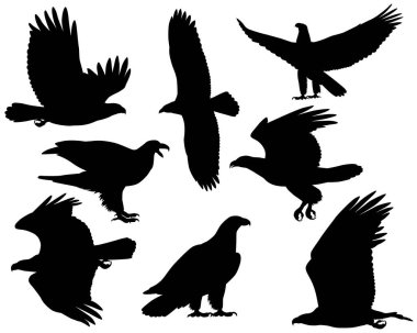 Kel kartal kuş siluetleri koleksiyonu