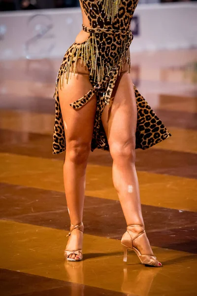 Graceful Sexy Dancer Dances Latin Dance — Stock Photo, Image