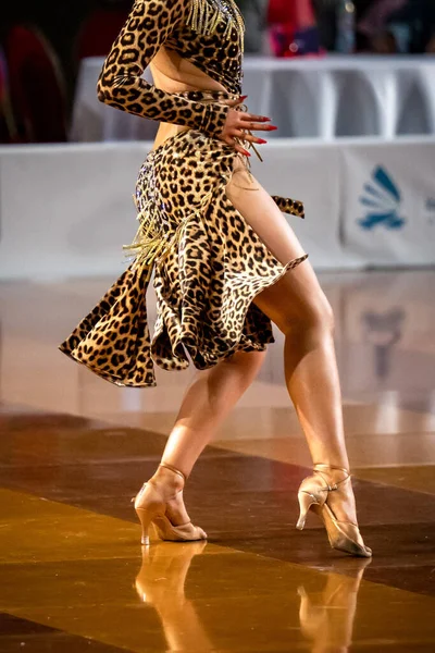 Χαριτωμένη Σέξι Χορεύτρια Χορεύει Λατινικούς Χορούς — Φωτογραφία Αρχείου