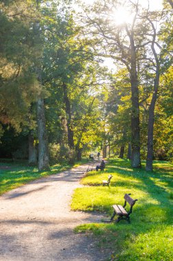 Sonbahar parkı ve gün batımında yürüyen insanlar.