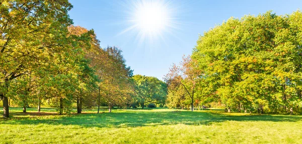 Grünes Feld Rasenpanorama Und Herbst Sonnenuntergang Wald Mit Grünen Bäumen — Stockfoto