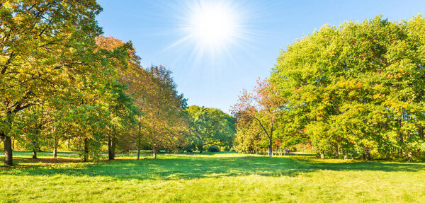 Green field lawn panorama and autumn sunset forest with green trees