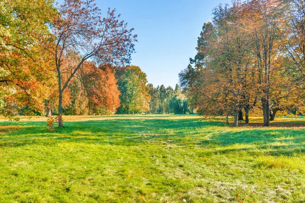 Zielone Pole Trawnik Jesienny Zachód Słońca Las — Zdjęcie stockowe
