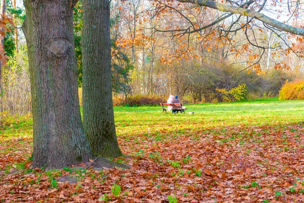 Осенний Парк Люди Сидящие Скамейке Пара Осеннем Парке — стоковое фото