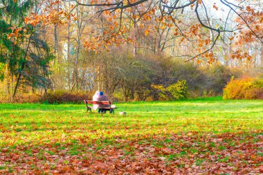 Sonbahar parkı ve bankta oturan insanlar, sonbahar parkında bir çift.