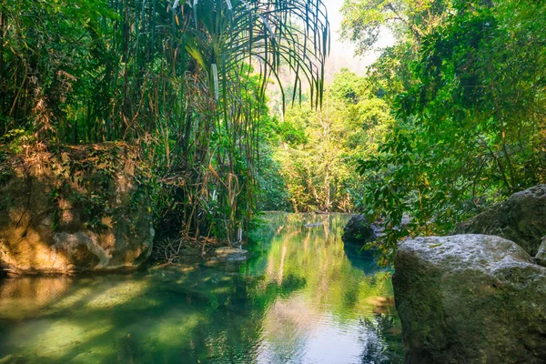 River Tropical Rainforest Landscape Stream Sunrays — Foto de Stock