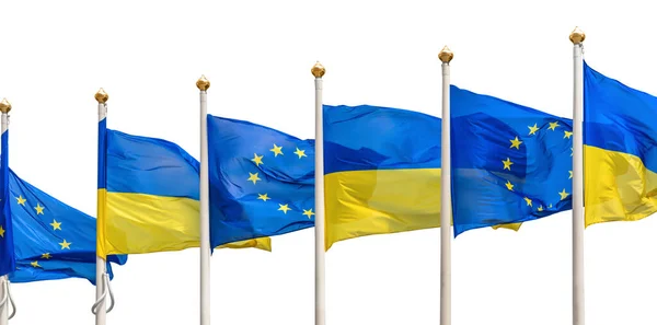 Прапори України Європейського Союзу Полях Український Прапор Ізольований Білому Тлі — стокове фото