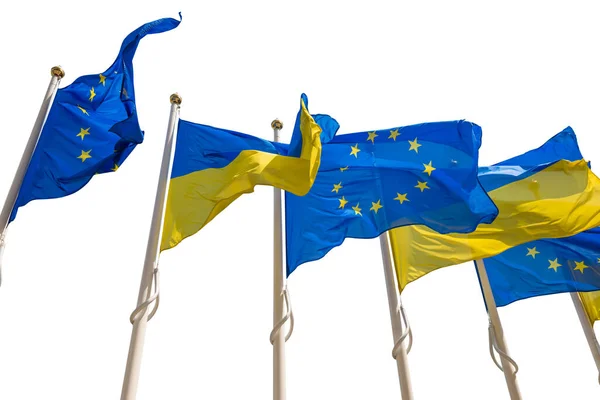 Flagpoles Com Bandeiras União Europeia Ucrânia Isoladas Sobre Fundo Branco — Fotografia de Stock