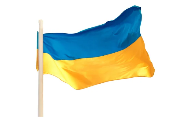 Флаг Украины Украинский Флаг Белом Фоне — стоковое фото