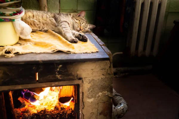 Cat Sleeping Stove Fireplace Home Room — стоковое фото