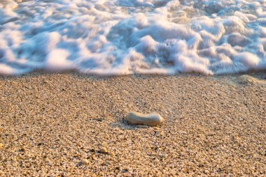 Taşlı ve deniz dalgalı tropikal kumsal manzarası