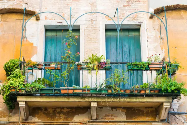 Windows Květinami Starém Domě Benátkách Stock Snímky