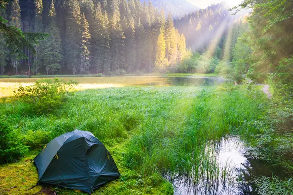 青い水と朝の光で山の森林湖の近くの緑のテント ロイヤリティフリーのストック写真