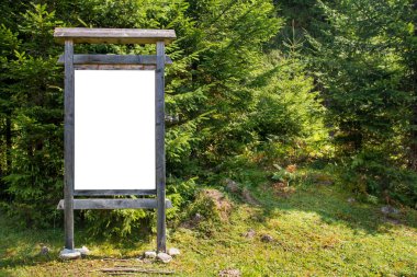 Yeşil ormandaki beyaz boş tahta levha beyaz ormanda izole edilmiş.