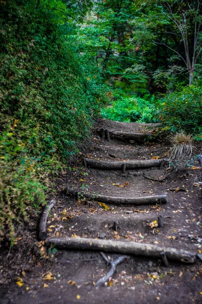 Αγροτική Stepway Στο Πάρκο Κατά Την Πρώιμη Φθινοπωρινή Περίοδο — Φωτογραφία Αρχείου
