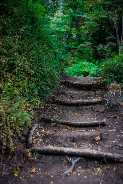Сельская Лестница Парке Начале Осеннего Сезона — стоковое фото
