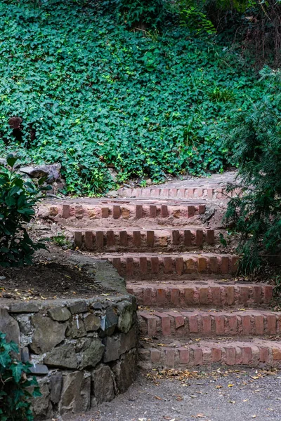 Wiejski Stepway Parku Wczesnym Sezonie Jesiennym — Zdjęcie stockowe