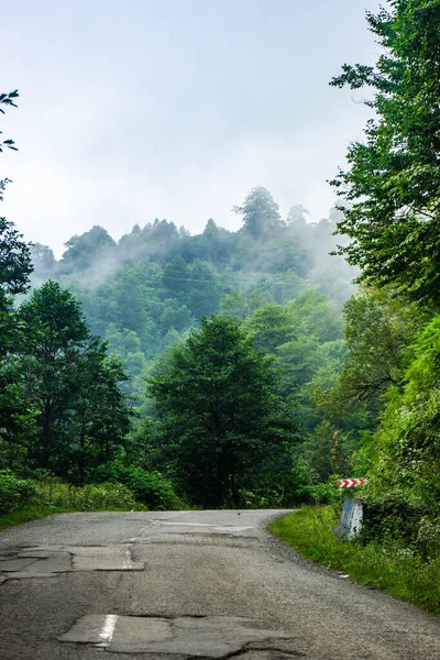 Гірський Ландшафт Відомій Зоні Відпочинку Гурії Західній Частині Грузії — стокове фото