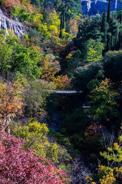 Осенний Ботанический Сад Старом Тбилиси Столице Грузии — стоковое фото